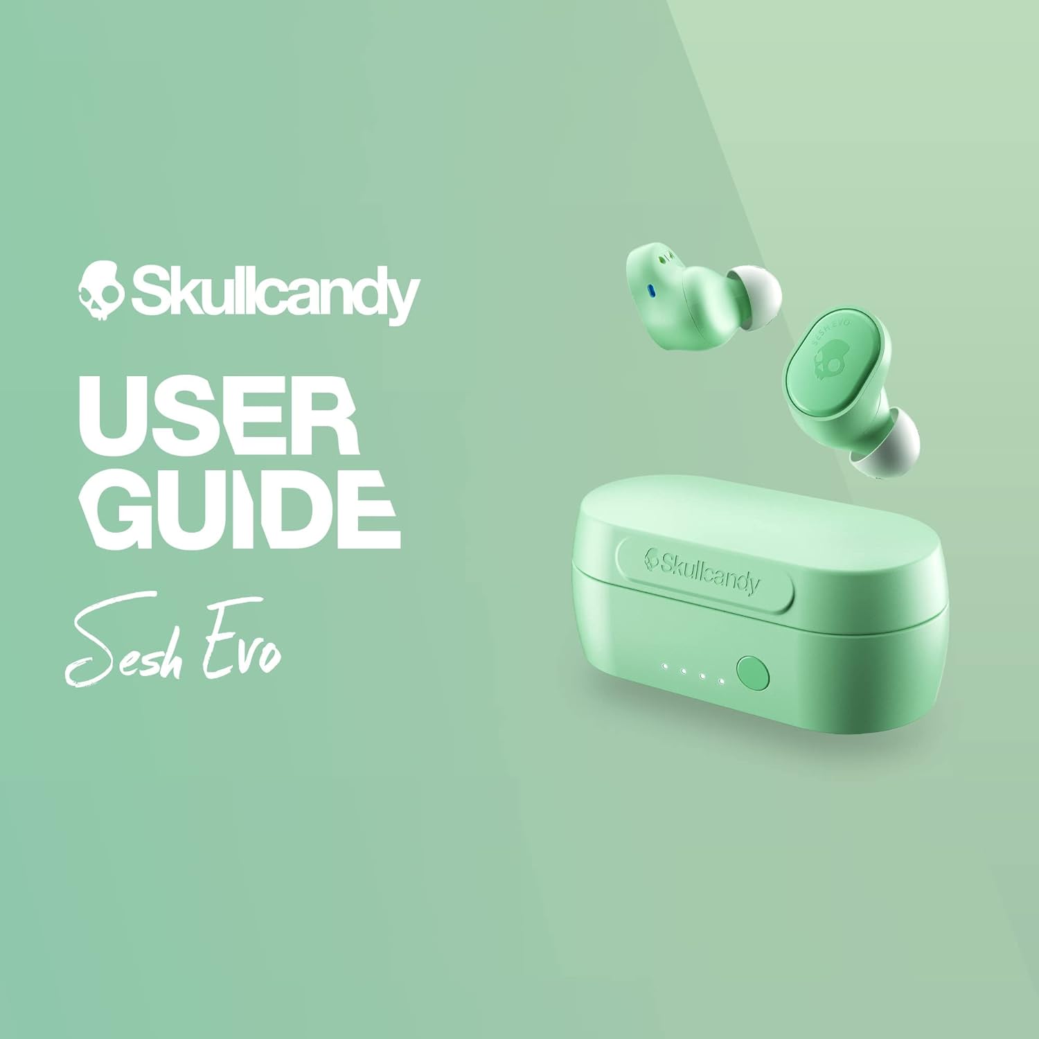 Scrutiny of Skullcandy Sesh Evo In-Ear Wireless Earbuds - Mint